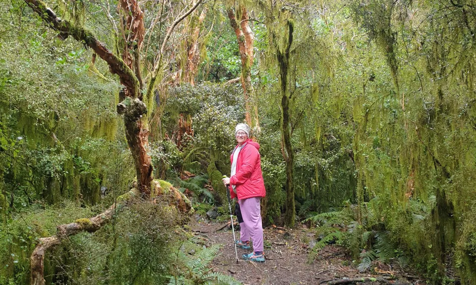 Otepatotu “Place of the Fairies”, Canterbury