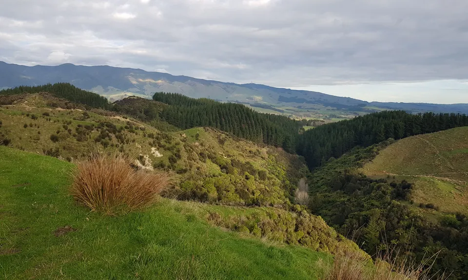 Bushy Breathtaking Branch Rd, Manawatu - Wanganui