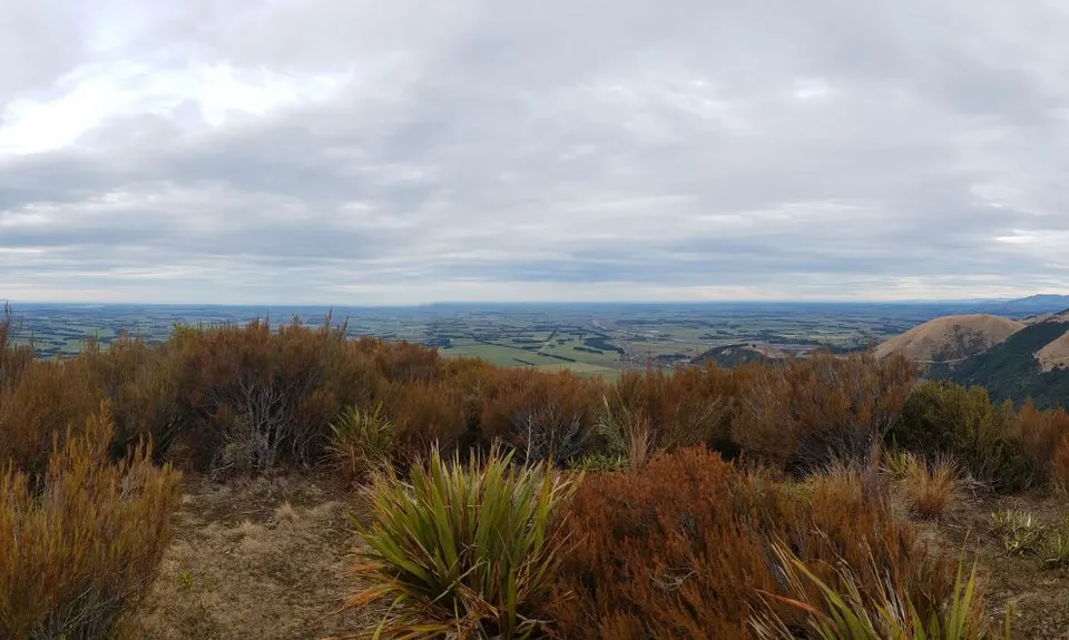 Aamped and Clomped, Canterbury