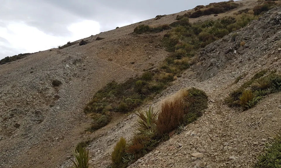 Aamped and Clomped, Canterbury