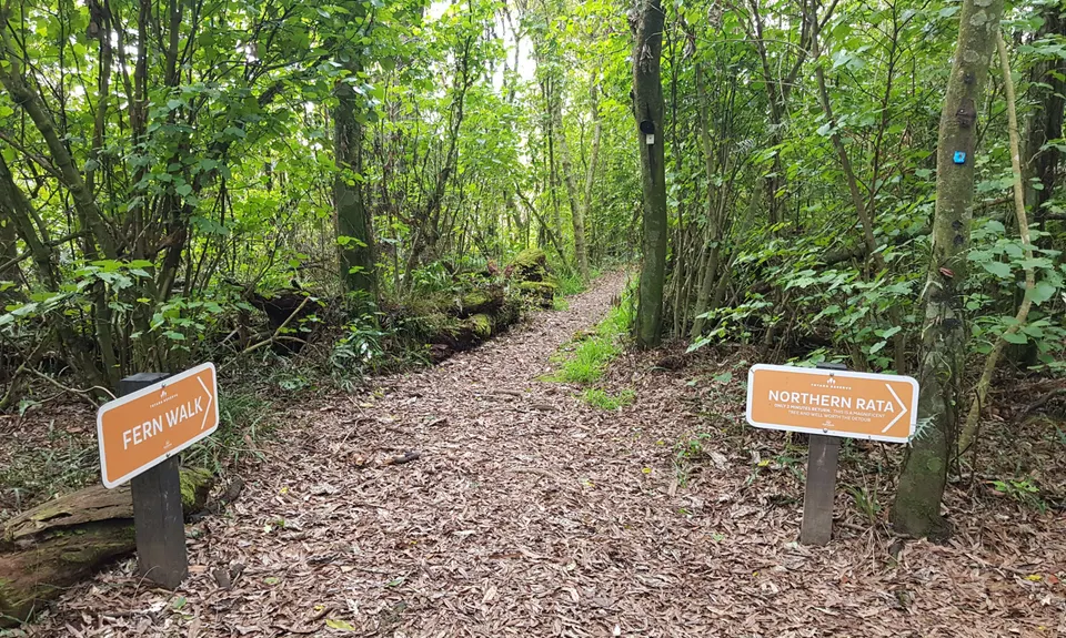 Fern Loop, Manawatu - Wanganui
