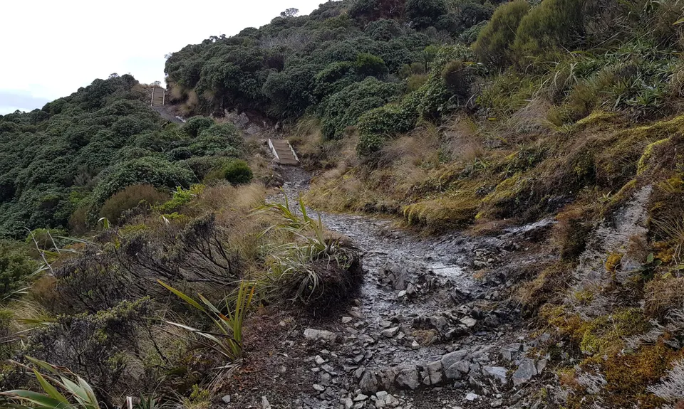 Rangiwahia Hut - Deadmans Track, Manawatu - Wanganui