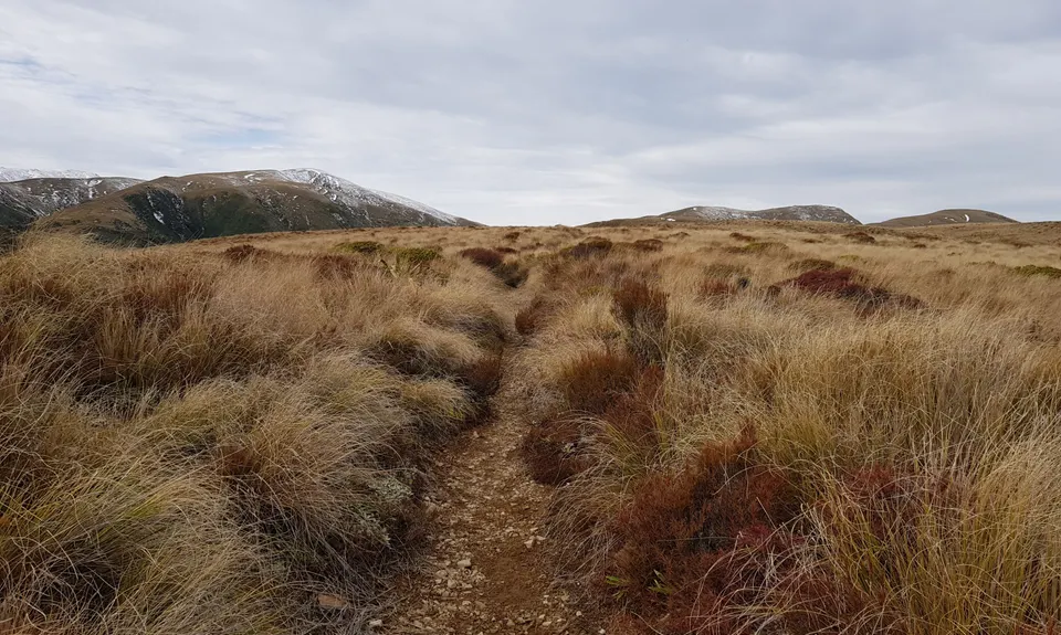 Rangiwahia Hut - Deadmans Track, Manawatu - Wanganui