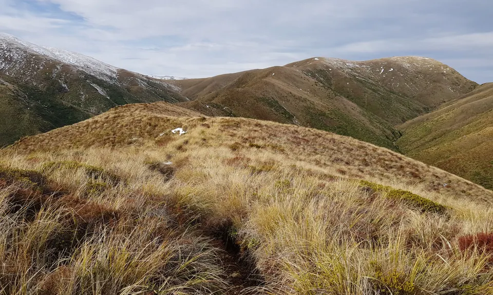 Rangiwahia Hut - Deadmans Track, Manawatu - Wanganui