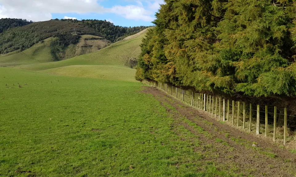 Hihitahi Highpoint, Manawatu - Wanganui