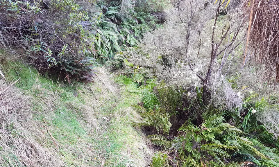 Hihitahi Highpoint, Manawatu - Wanganui