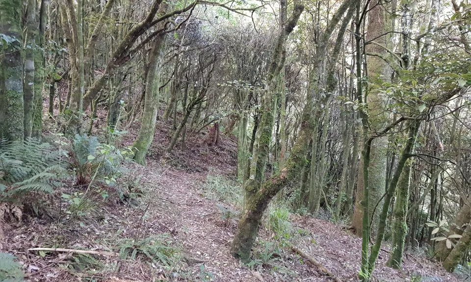 Hihitahi Highpoint, Manawatu - Wanganui