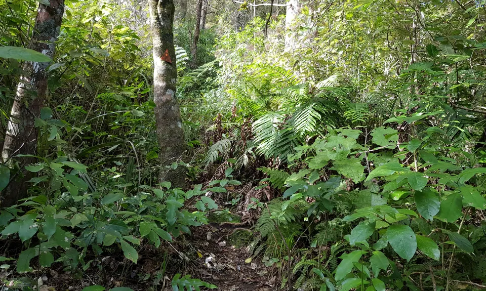 Hihitahi Highpoint, Manawatu - Wanganui
