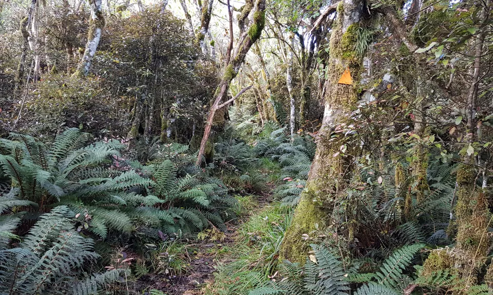 Hihitahi Highpoint, Manawatu - Wanganui