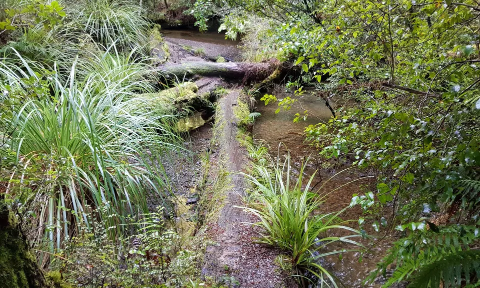 Te Iringa Track , Waikato