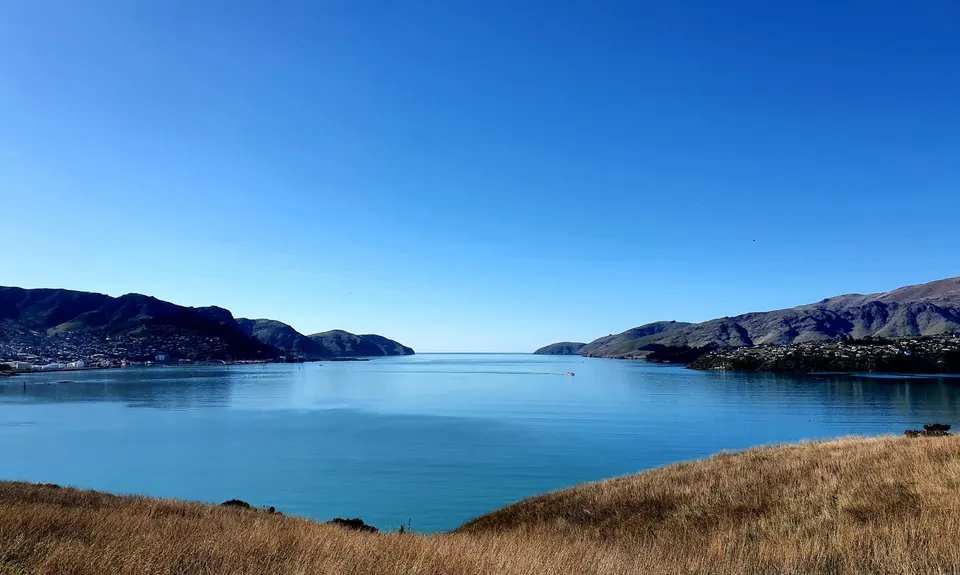 Quail Island Looping, Canterbury