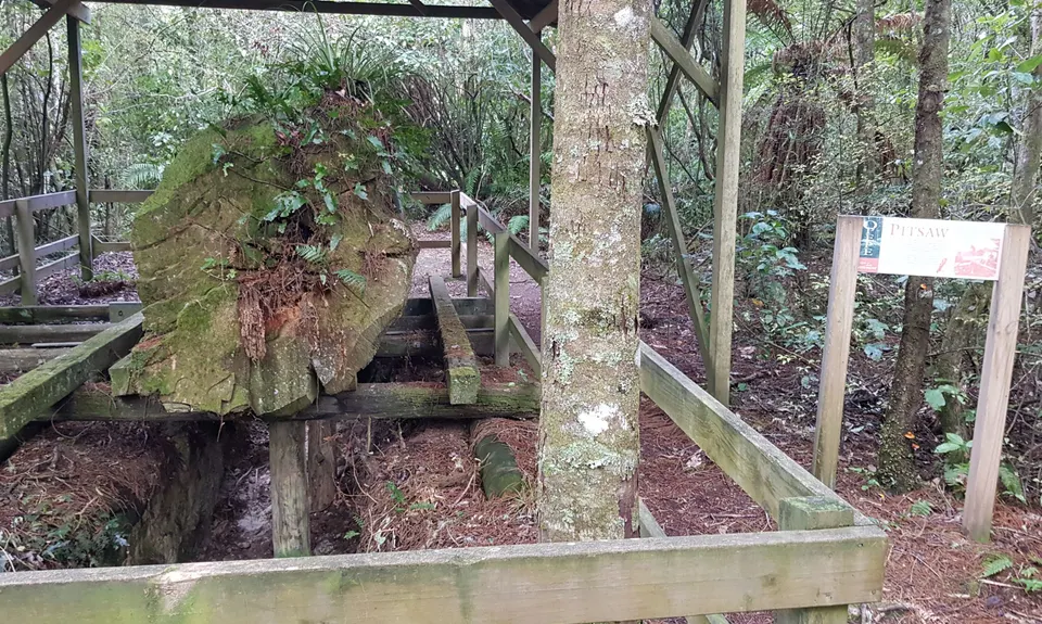 Opepe Reserve, Waikato