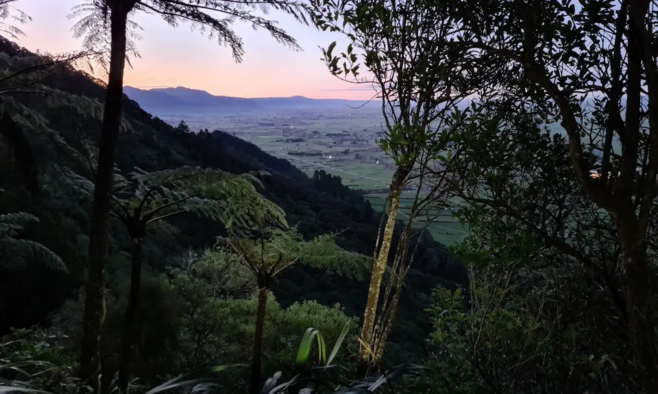 Te Aroha -Waiorongomai Loop, Waikato