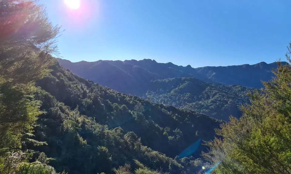 Te Aroha -Waiorongomai Loop, Waikato