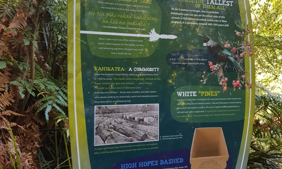 Bell Blast, Waikato