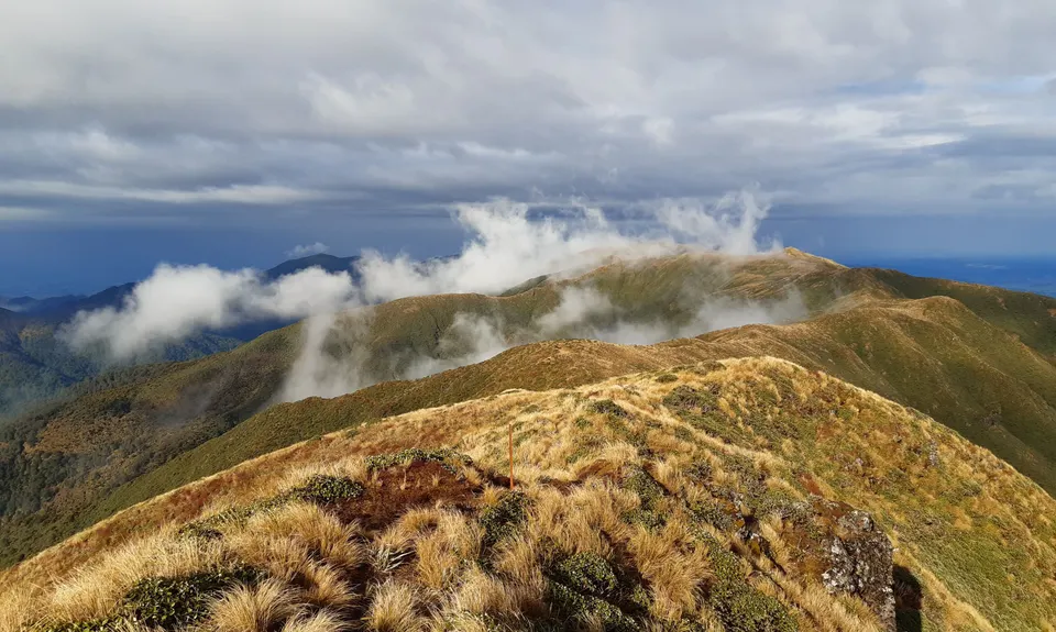 Ngamoko Range Traverse, Manawatu - Wanganui