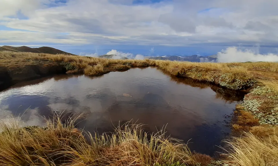Ngamoko Range Traverse, Manawatu - Wanganui