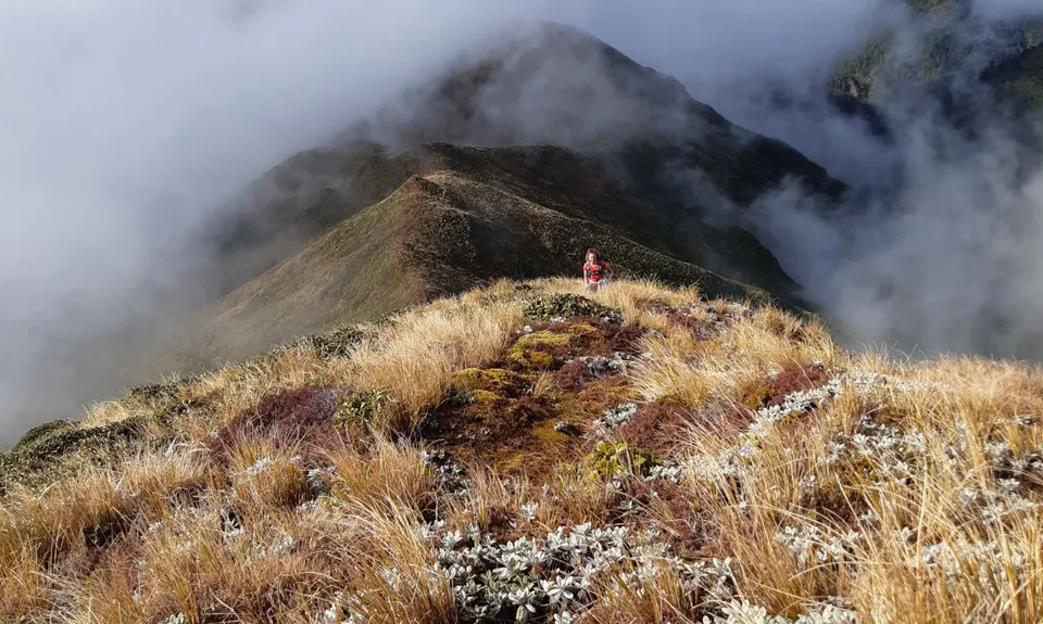 Ngamoko Range Traverse, Manawatu - Wanganui