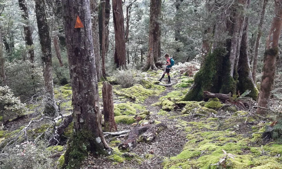 Ngamoko Range Traverse, Manawatu - Wanganui