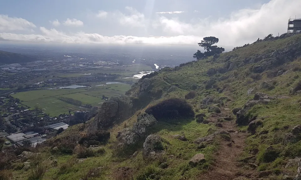 Beer Bum Bluffs, Canterbury