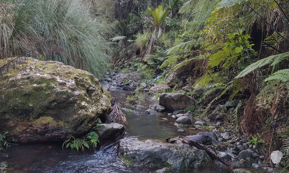 Orokawa Bay & William Wright Falls, Bay of Plenty