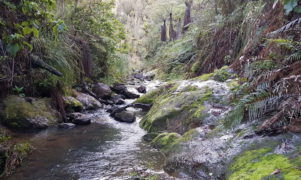 Orokawa Bay & William Wright Falls, Bay of Plenty