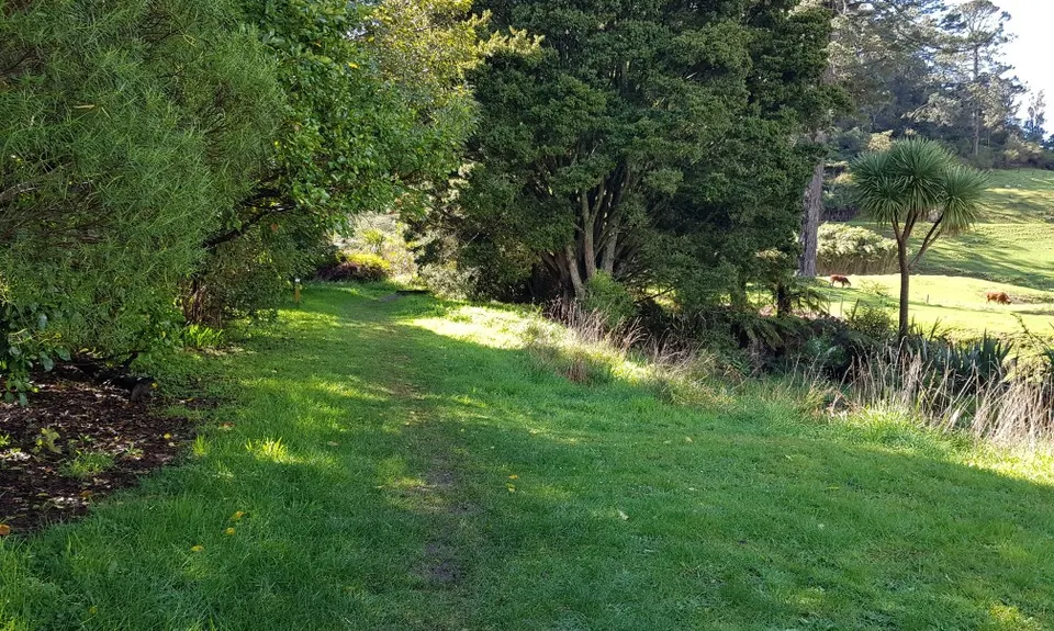Waihi Wandering, Bay of Plenty