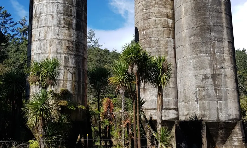 Waihi Wandering, Bay of Plenty