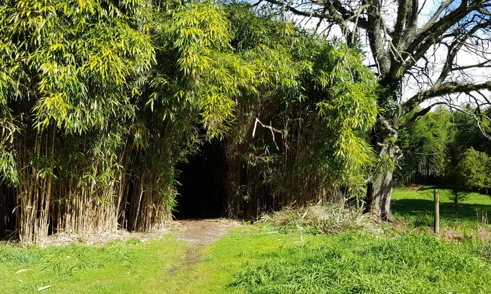 Waihi Wandering, Bay of Plenty
