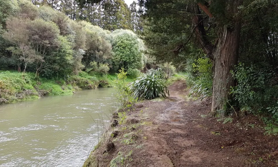 Waihi Wandering, Bay of Plenty