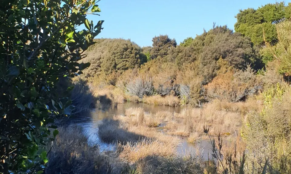 Little Mount Peel, Canterbury