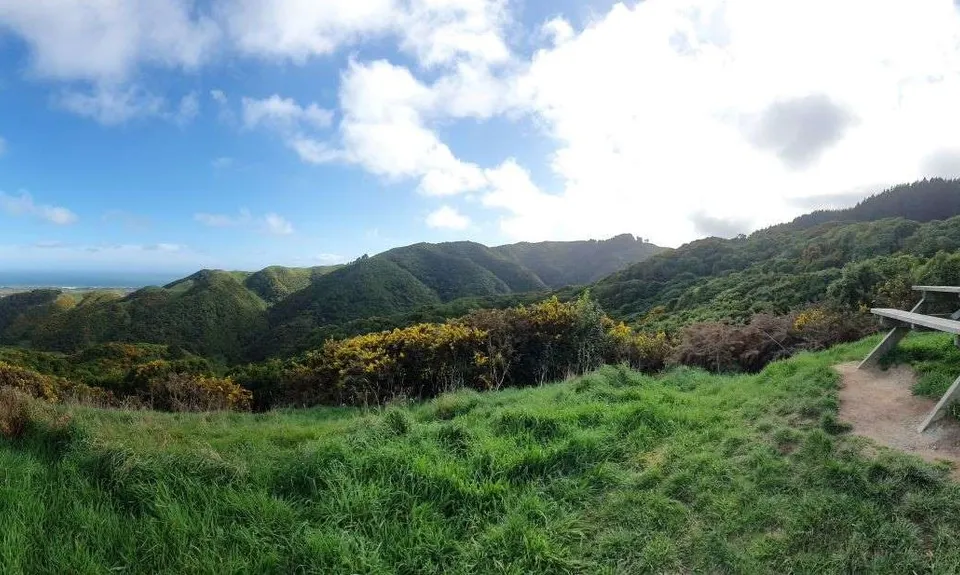 Perhams Road Loop, Wellington