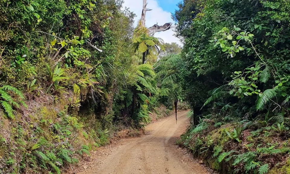 Perhams Road Loop, Wellington