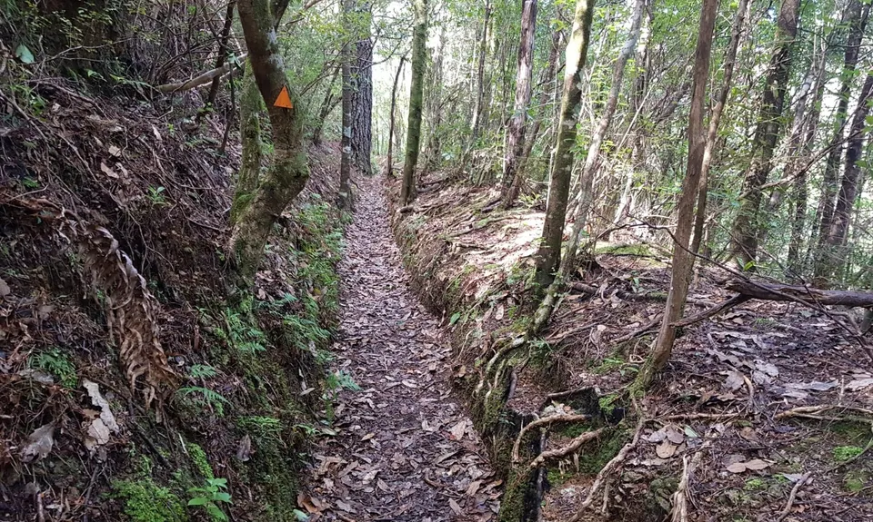 Broken Hills Historic Mine Tour, Waikato