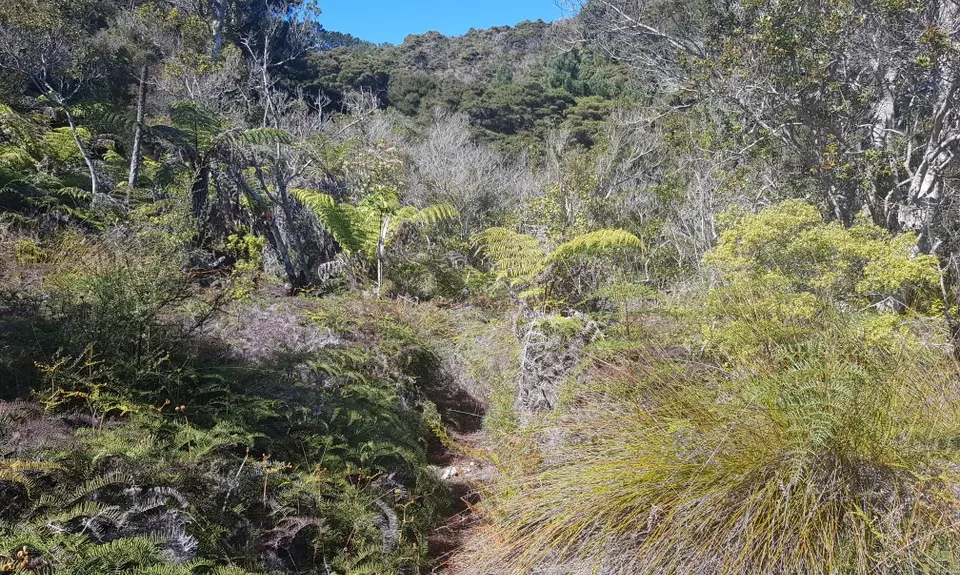 Ferry Landing to Hidden Bay, Waikato