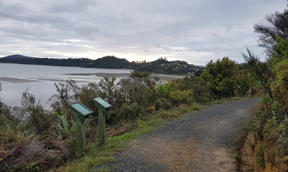 Kauri Block and Harray Trails, Waikato