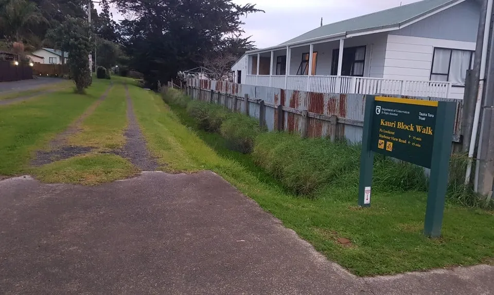 Kauri Block and Harray Trails, Waikato