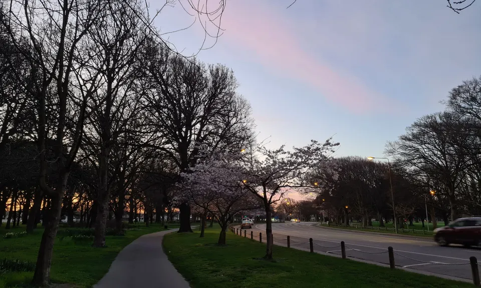 Hagley Figure of 8, Canterbury