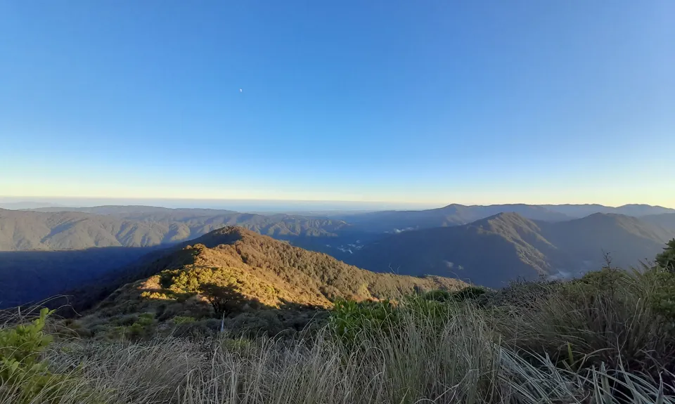 Pakihore Ridge Loop, Wellington