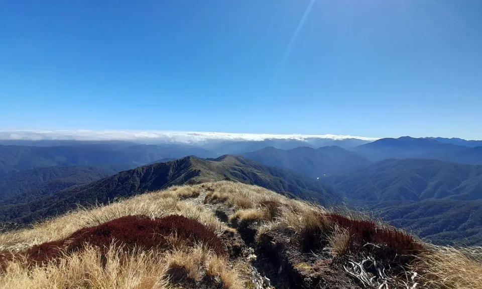 Pakihore Ridge Loop, Wellington