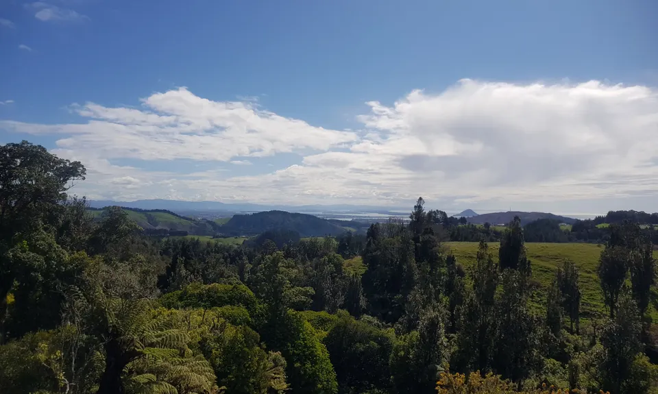 Otawa Lodge & Otawa Trig Loop, Bay of Plenty