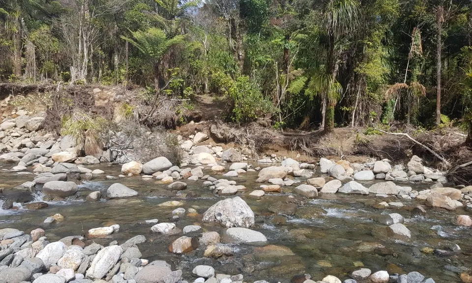 Kauaerangi Small Trails Tour, Waikato