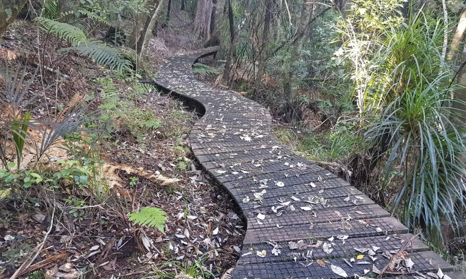 Kauaerangi Small Trails Tour, Waikato