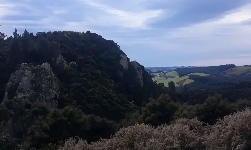 Kakahu Bush Reserve, Canterbury