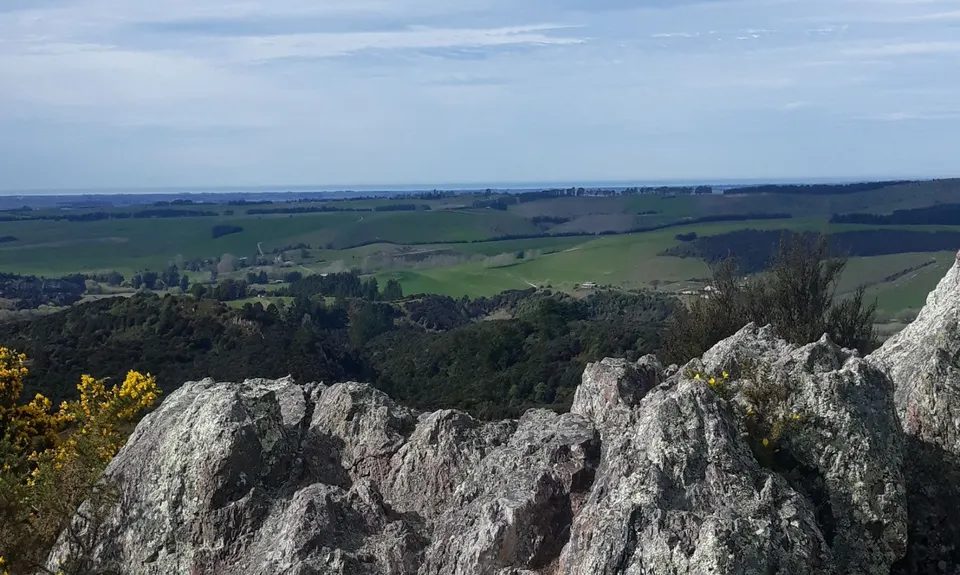 Kakahu Bush Reserve, Canterbury