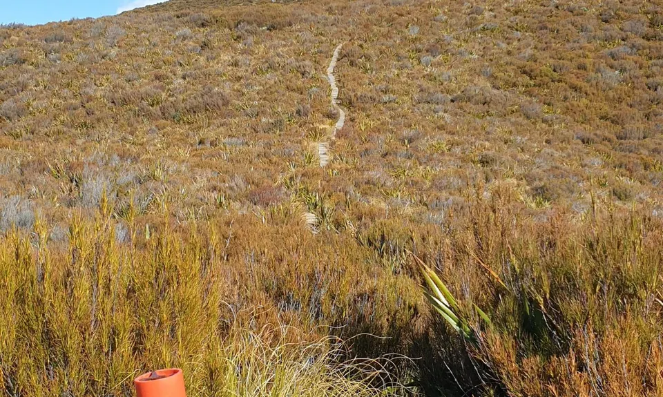 Little Mount Peel, Canterbury