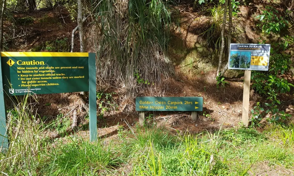 Maratoto To Golden Cross, Waikato