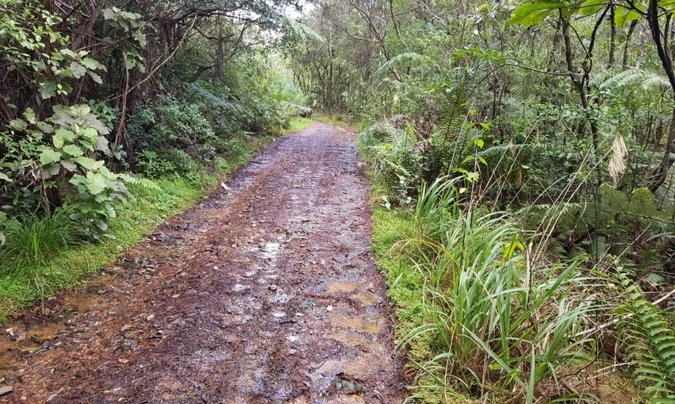 Maratoto To Golden Cross, Waikato