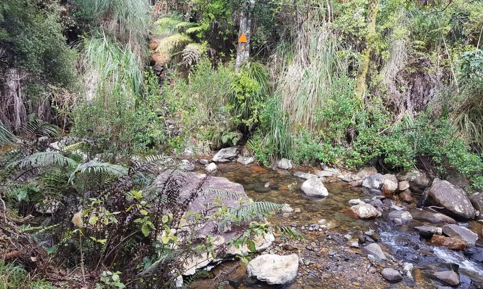 Maratoto To Golden Cross, Waikato