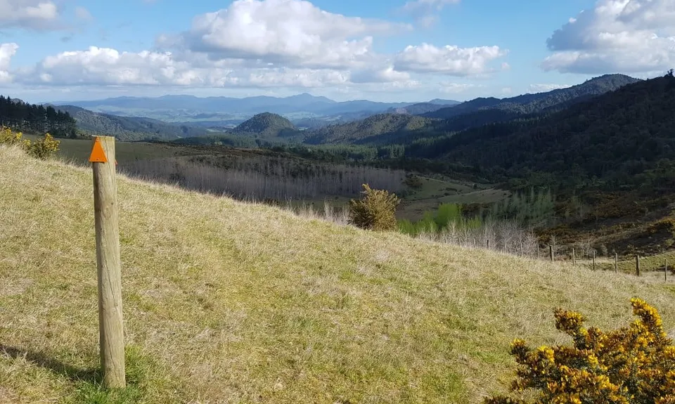 Maratoto To Golden Cross, Waikato